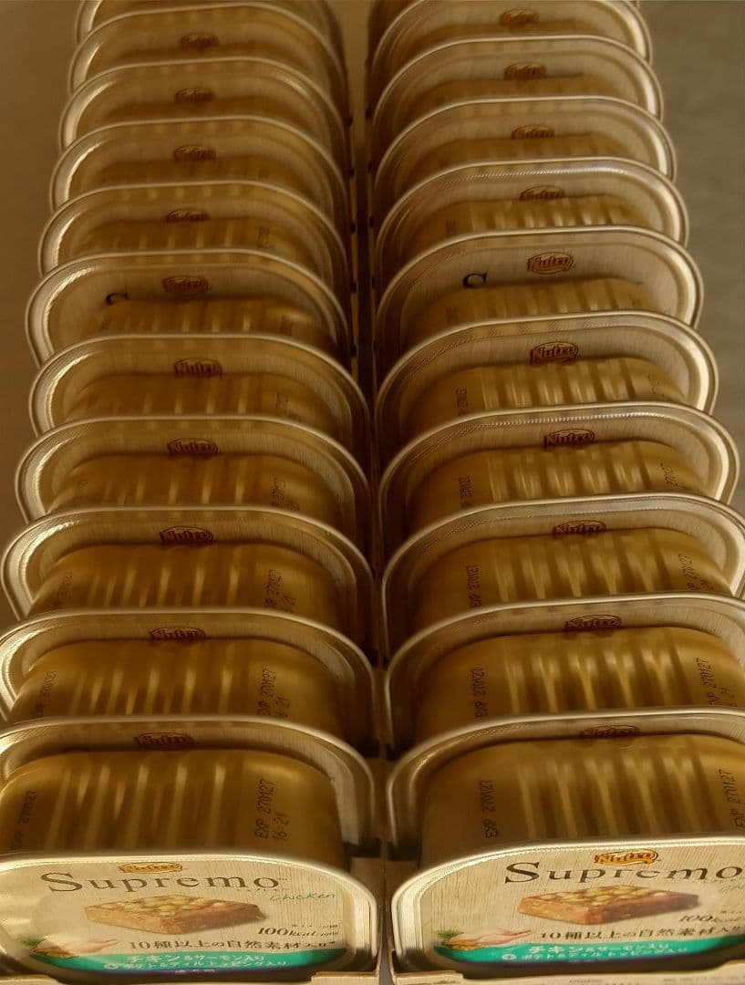 ニュートロシュプレモチキン&サーモン成犬用トレイ96個