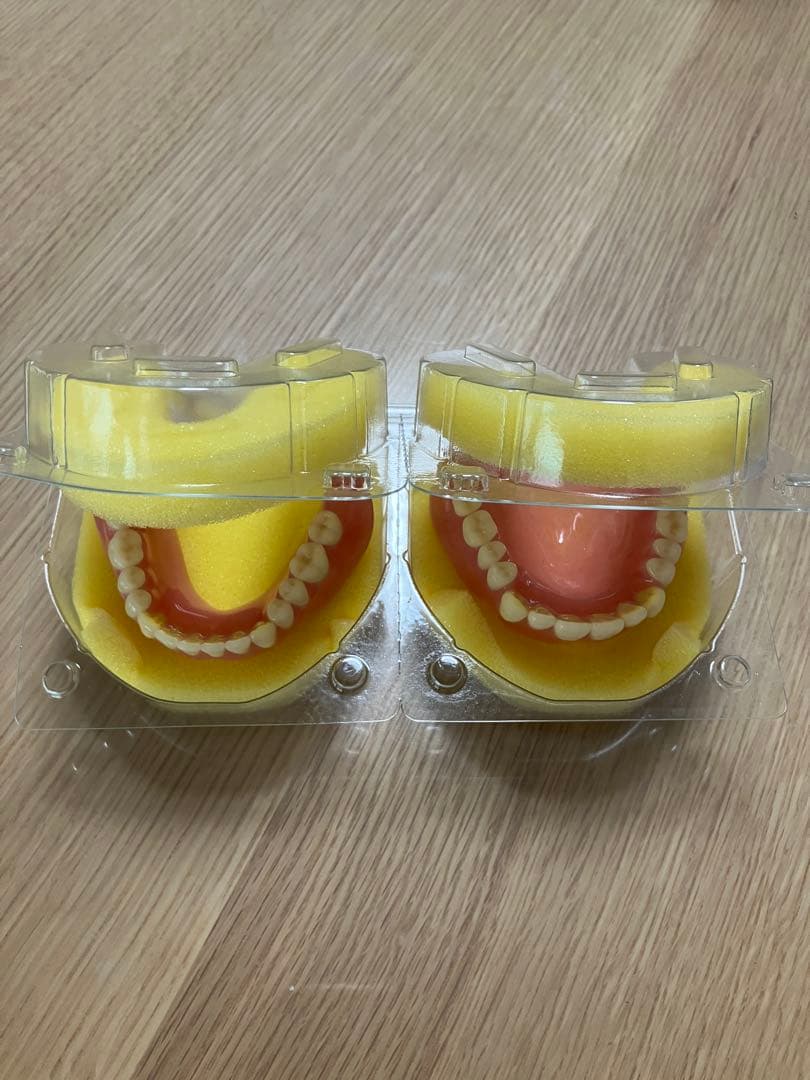 歯科 技工 フルデンチャー