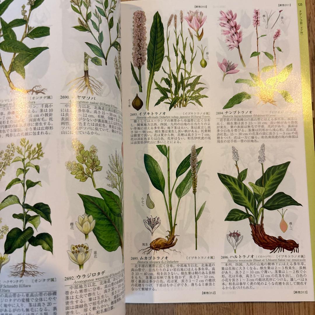 APG牧野植物図鑑 1・2