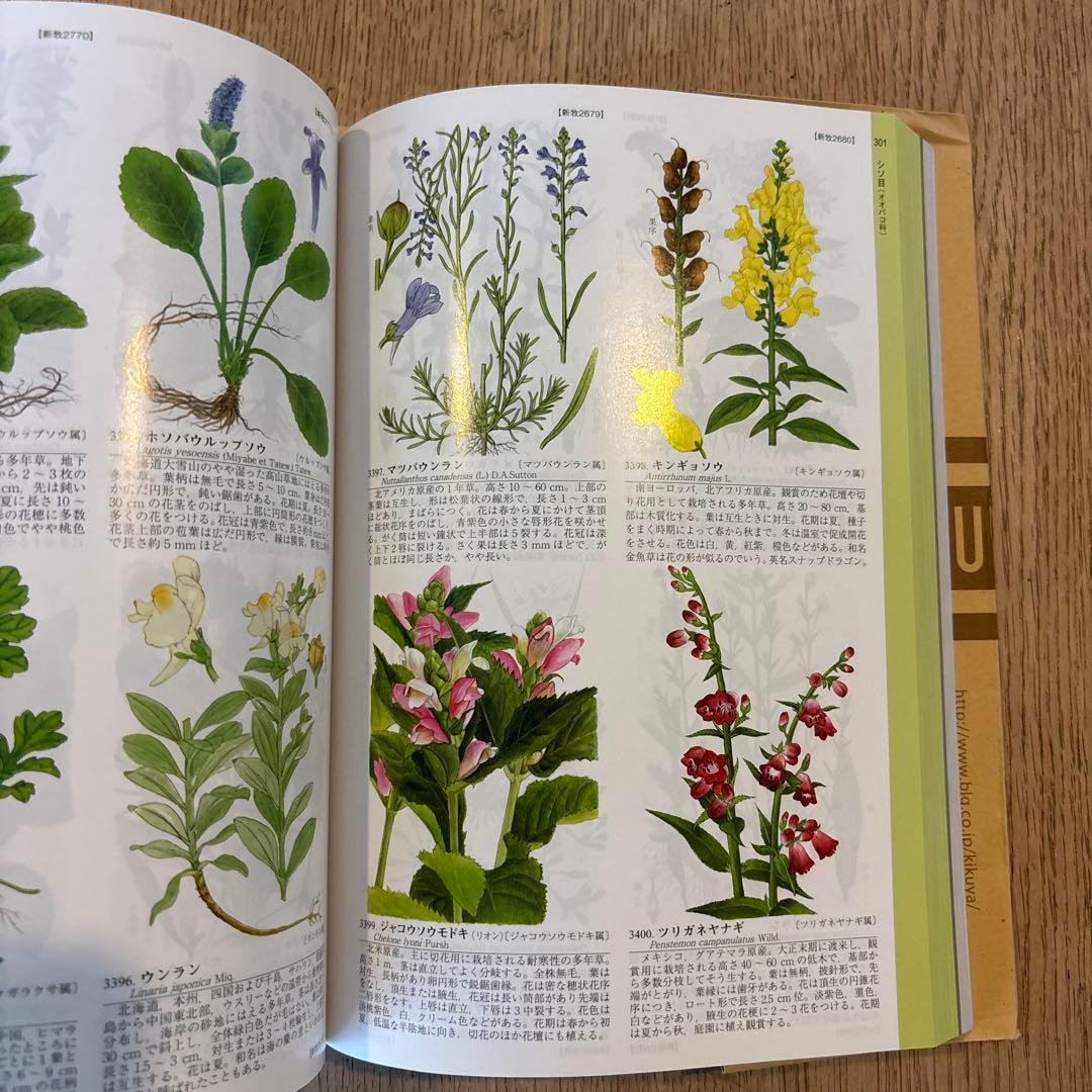 APG牧野植物図鑑 1・2