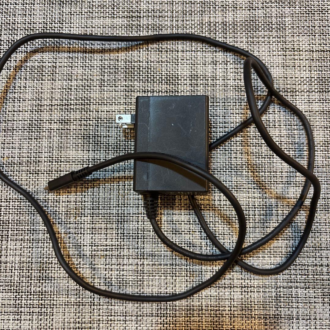 Nintendo Switch Lite ピンク 本体　ACアダプタ付