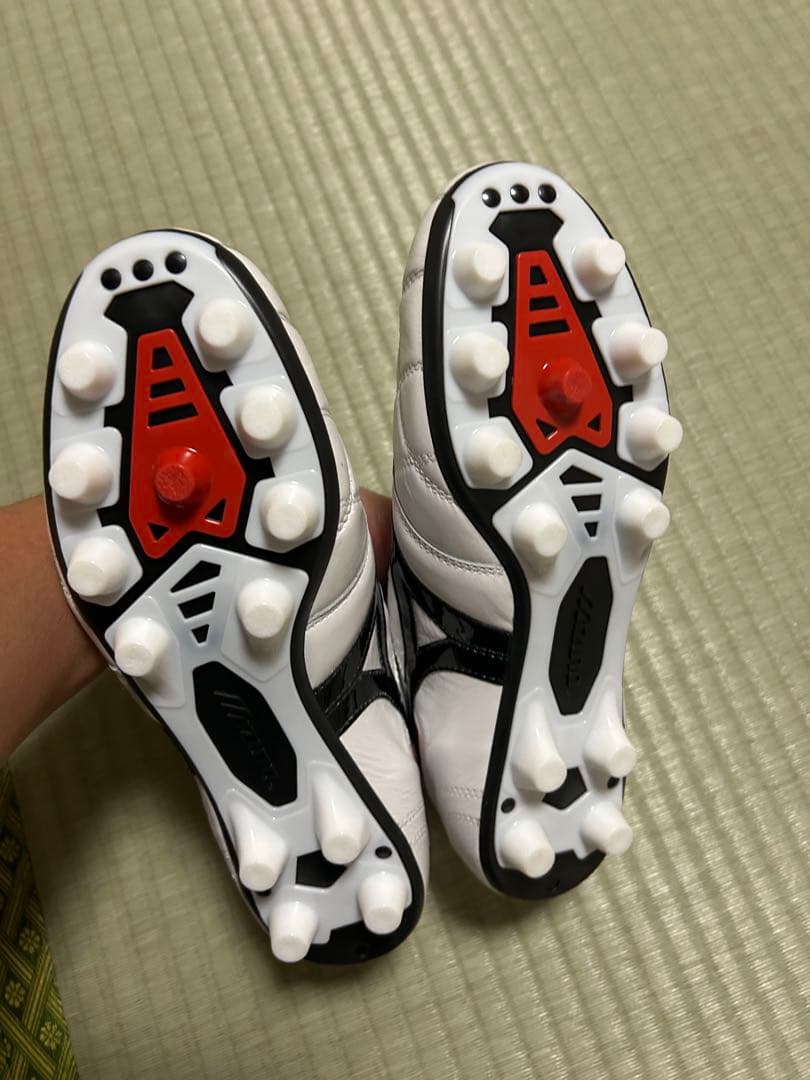 モレリア2 JAPAN クロスステッチ