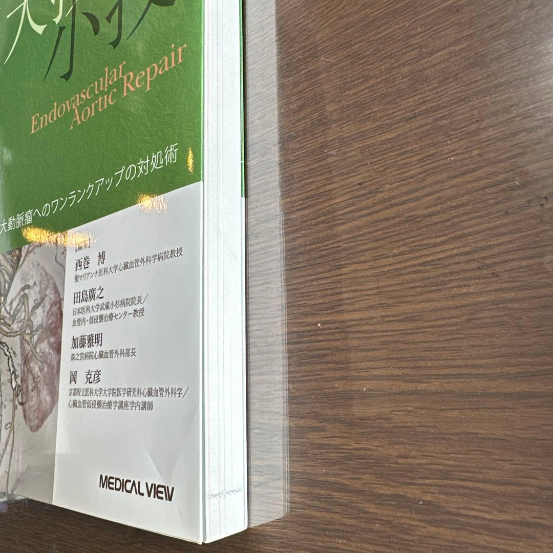 ステントグラフトの大技・小技 胸腹部大動脈瘤へのワンランクアップの対処術