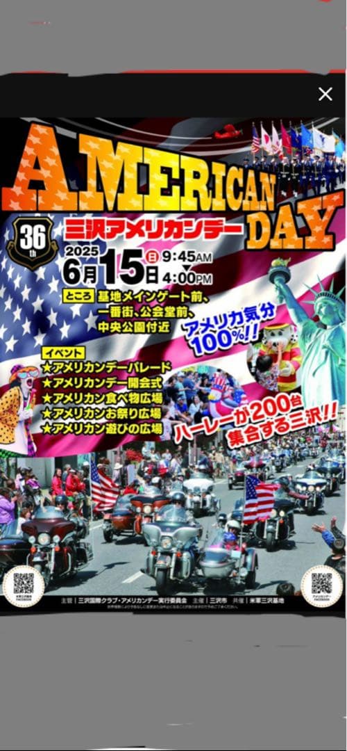 F16デモチーム バッグ