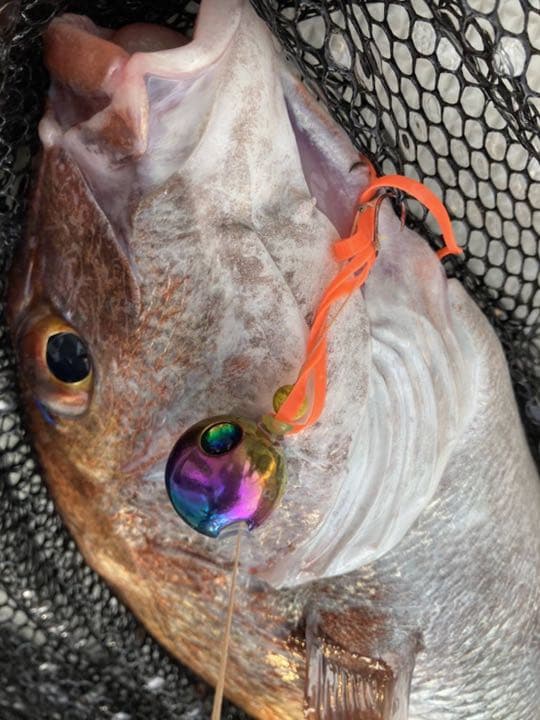 タイラバヘッド タングステン