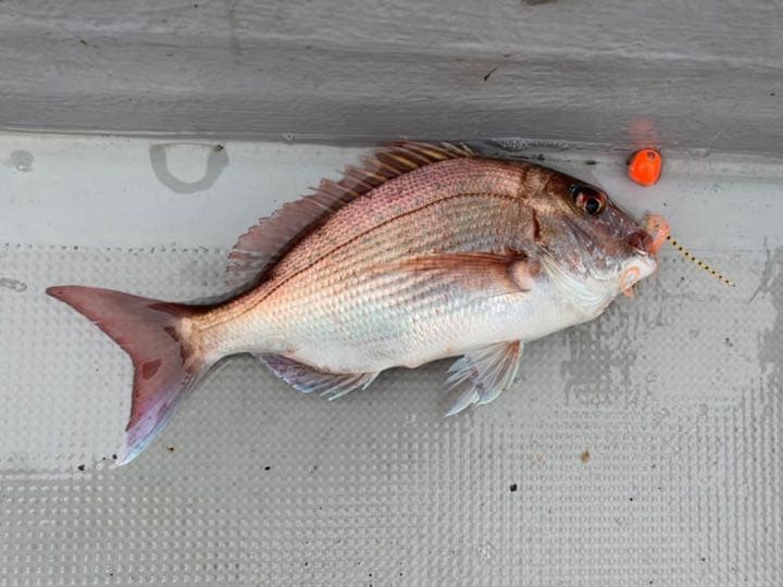 タイラバヘッド タングステン