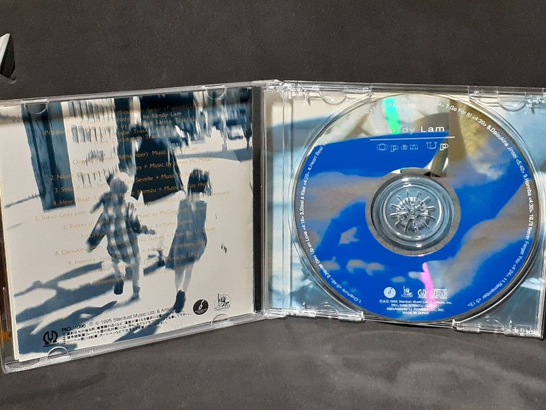 サンディ・ラム/オープン・アップ