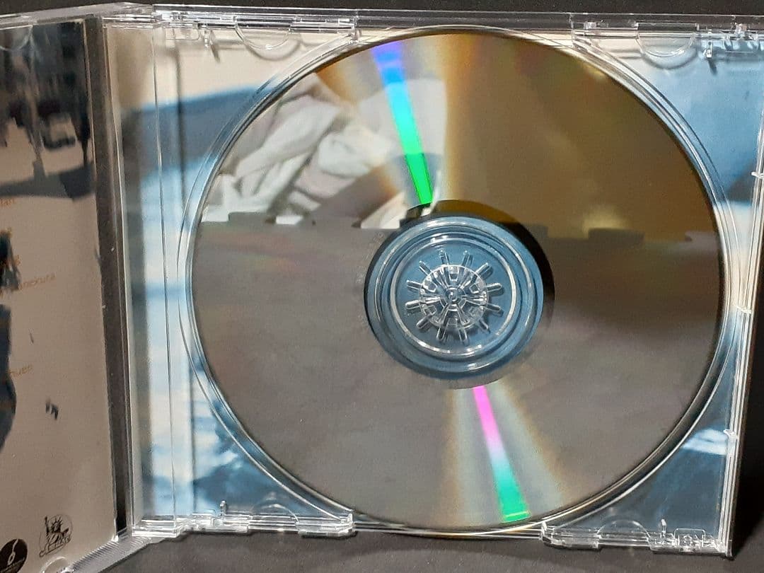 サンディ・ラム/オープン・アップ