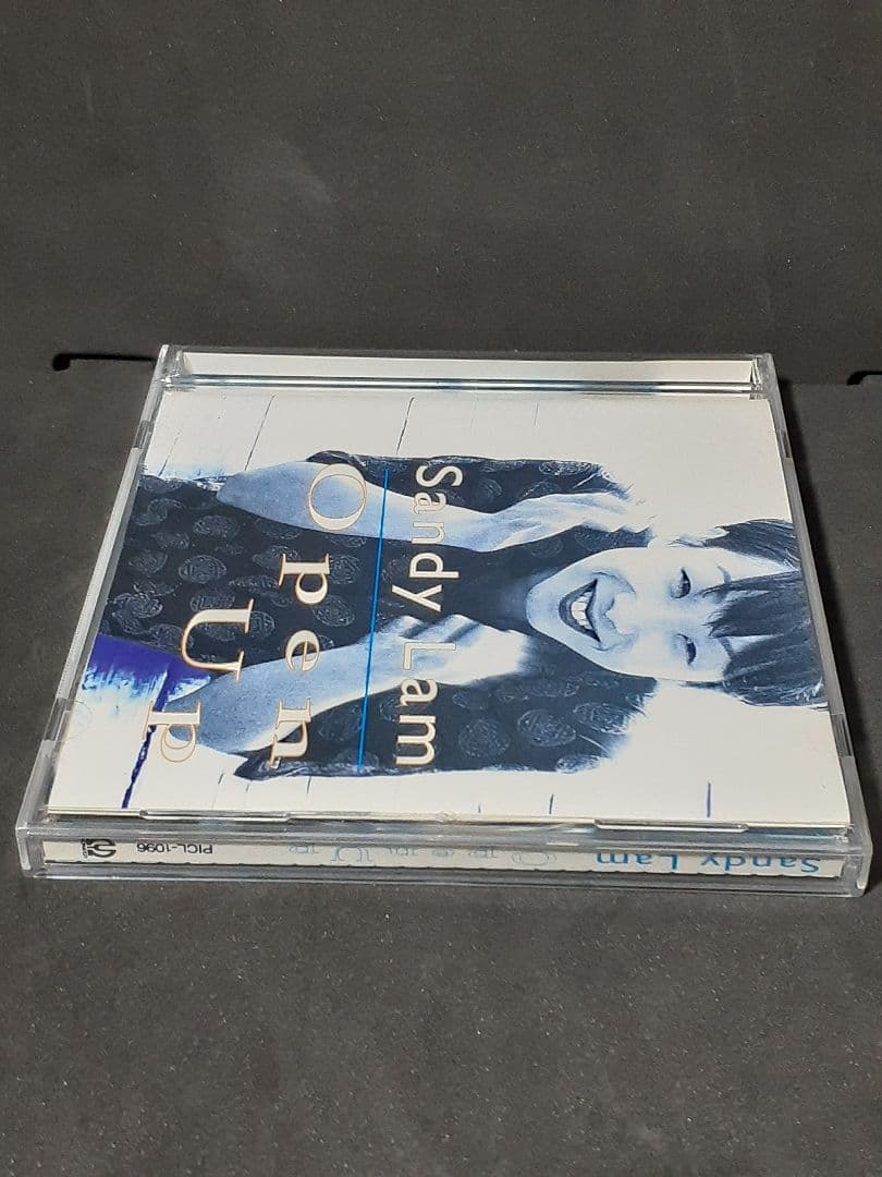 サンディ・ラム/オープン・アップ