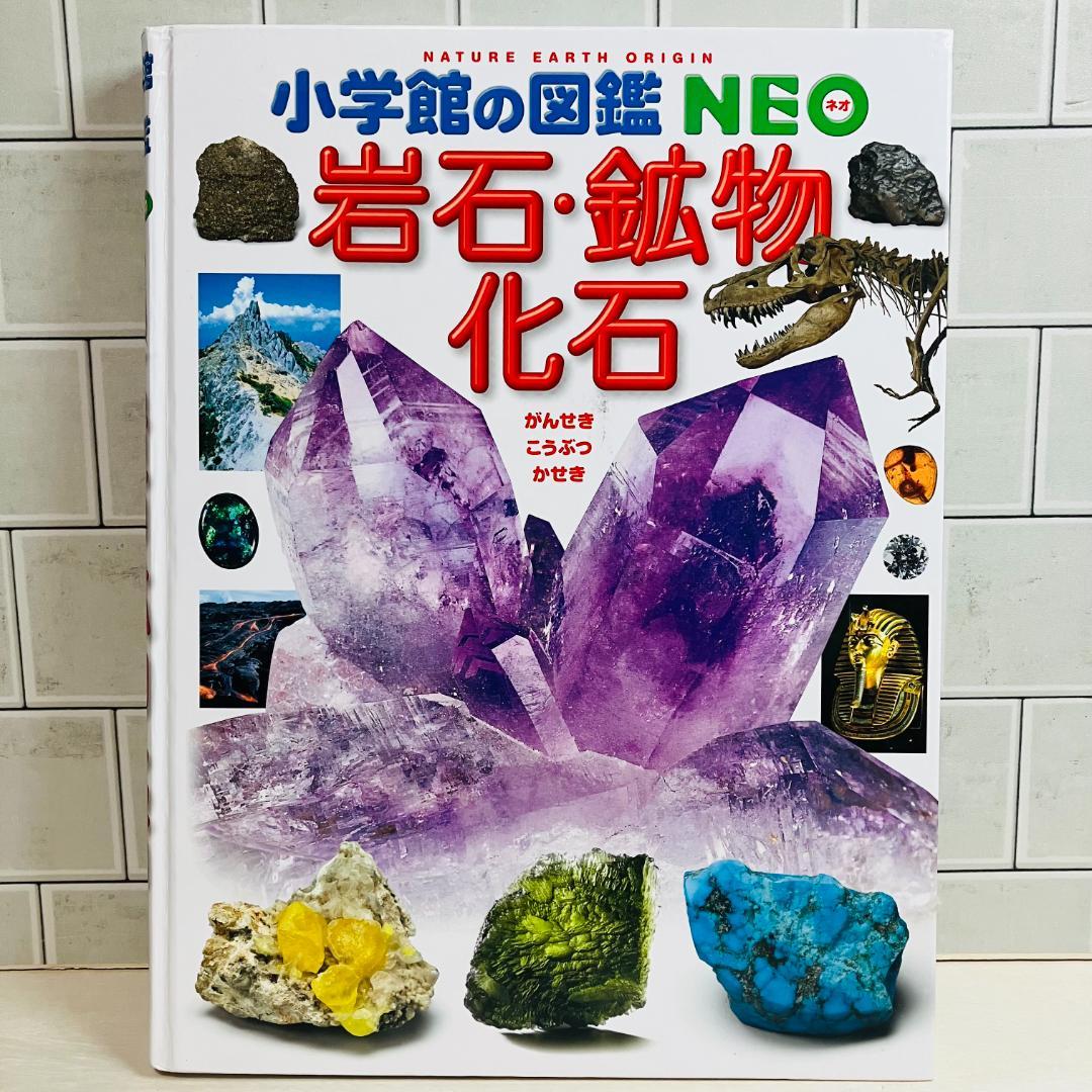 【Kai Thirada】図鑑セット①