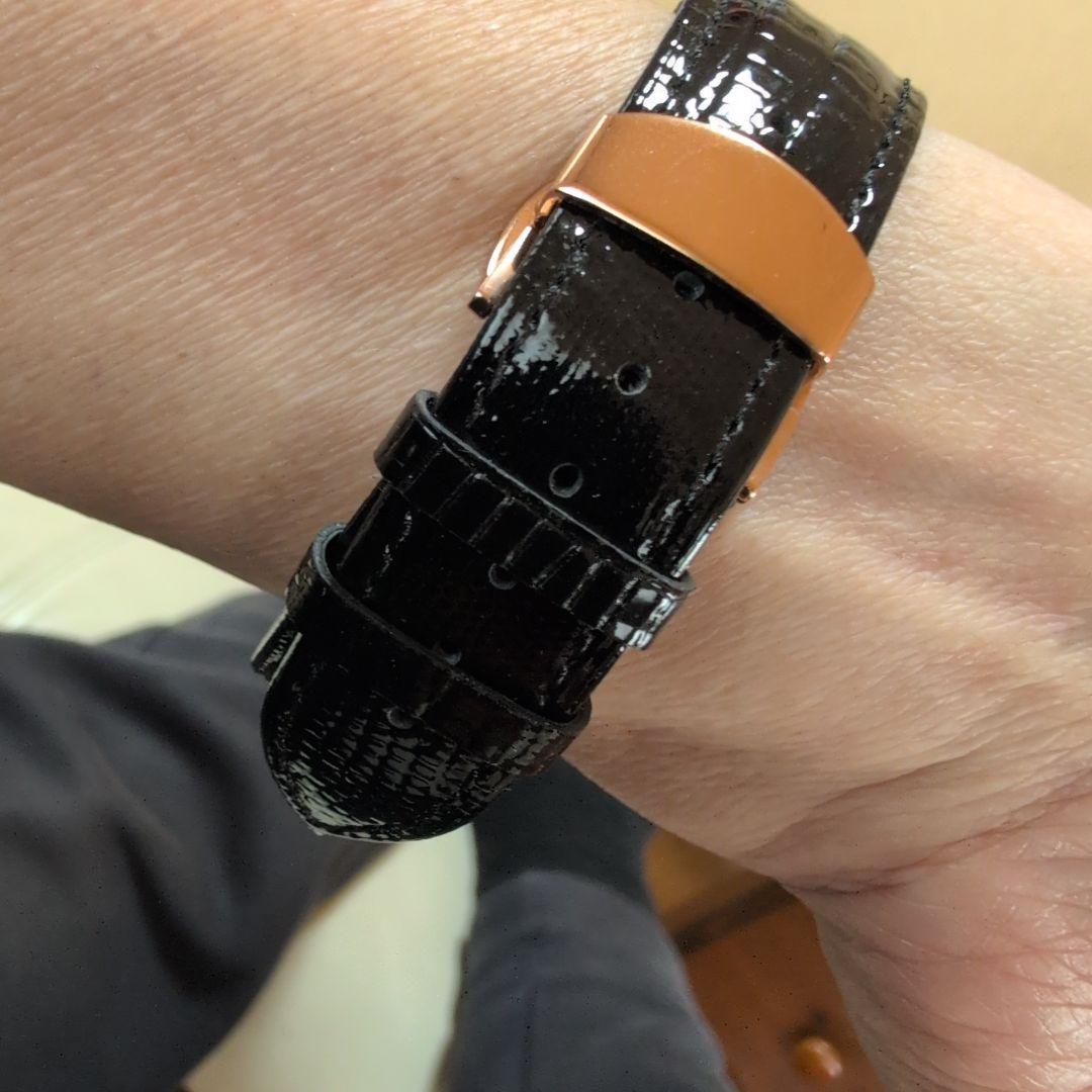 [新品]PAGANI.DESIGN クロノグラフ腕時計 PD1664(入手困難品