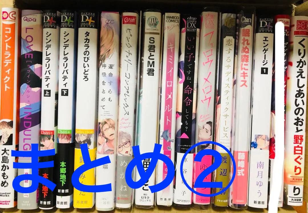 BLコミックスまとめ売り②バラ売り2冊〜