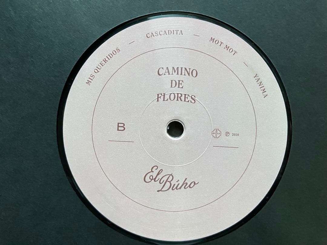 el buho camino de flores レア 名盤 ダウンテンポ