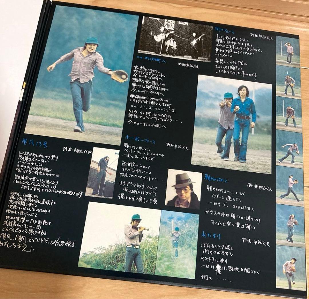 激レア！悲しき夏バテ 布谷文夫 I レコード LP 180g重量盤 限定盤