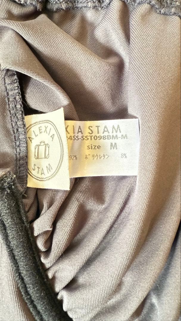 ALEXIA STAM グレー セパレート水着