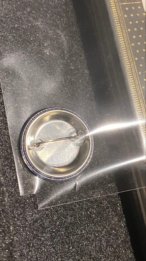 新品未開封「正しい偽りからの起床」店舗特典缶バッジ付き