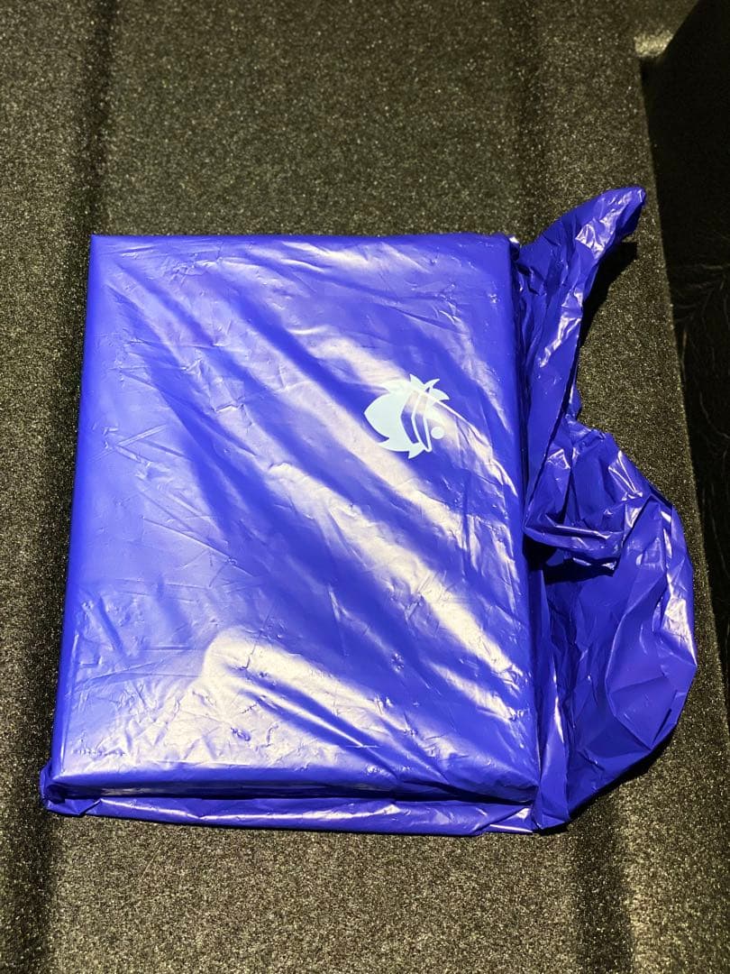 新品未開封「正しい偽りからの起床」店舗特典缶バッジ付き