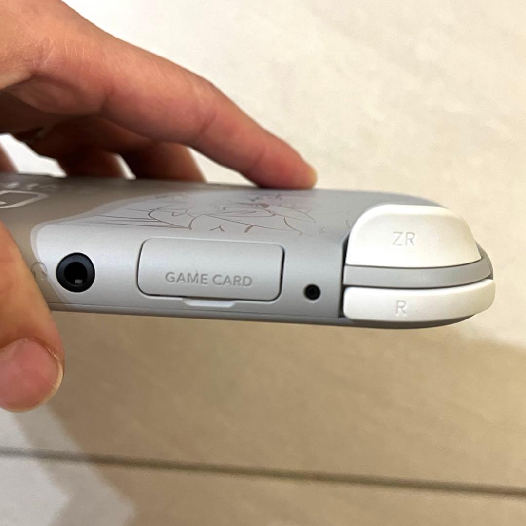 美品⭐︎ニンテンドー Switch Lite ポケモン 剣盾ver ケース付き