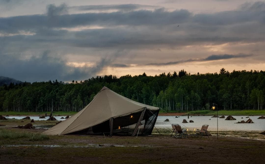 値下げ【新品・未使用】ゼインアーツ　ウータL TC / WOOTA L