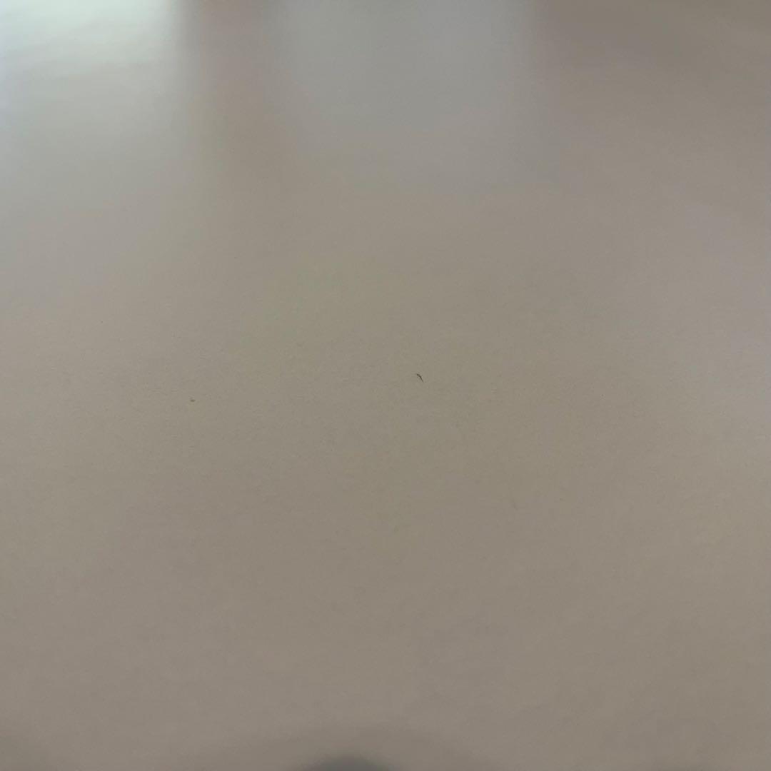 USM Haller USMハラー テーブル ホワイト 白 美品 デザイナーズ