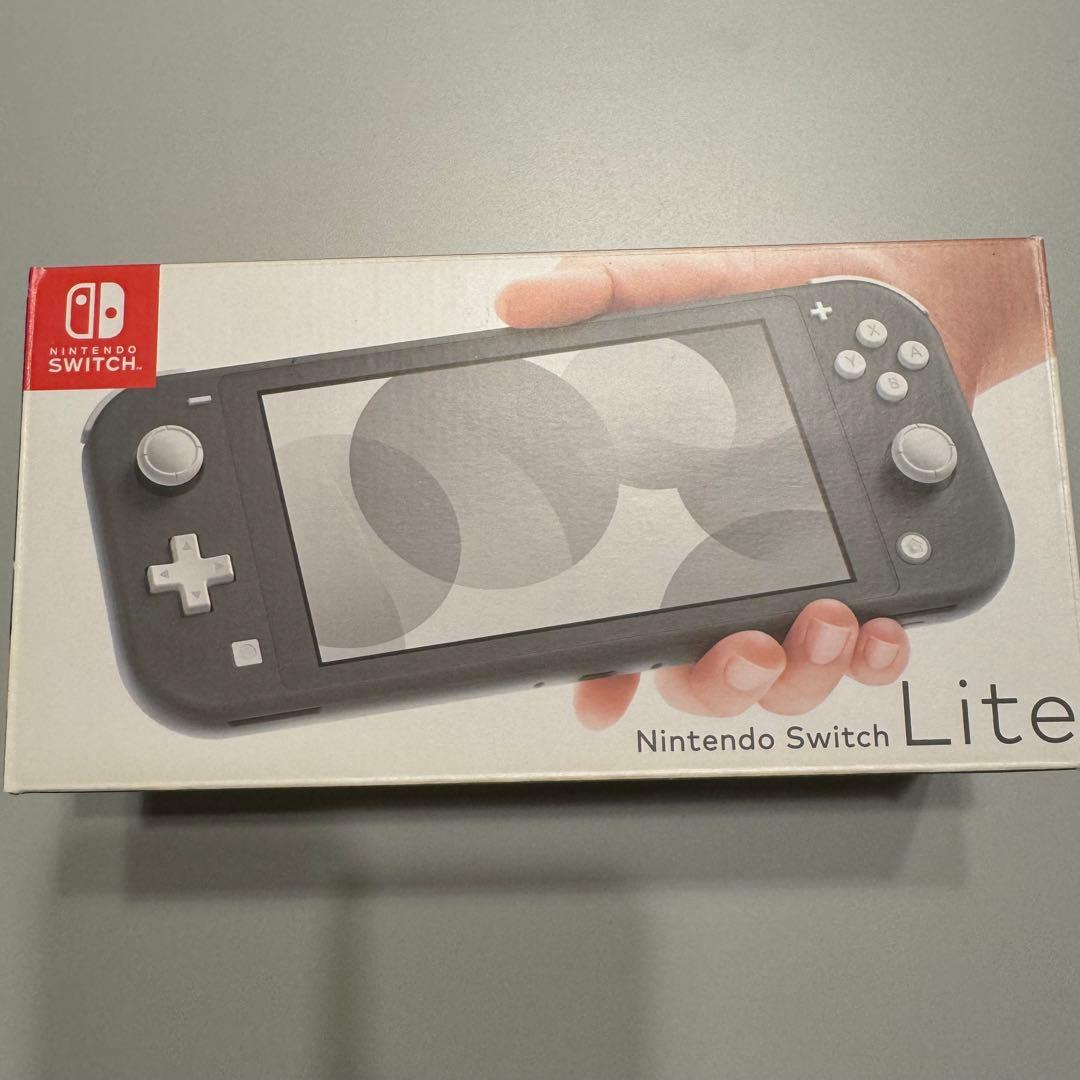 Nintendo Switch Lite グレー 充電器・ケース付き