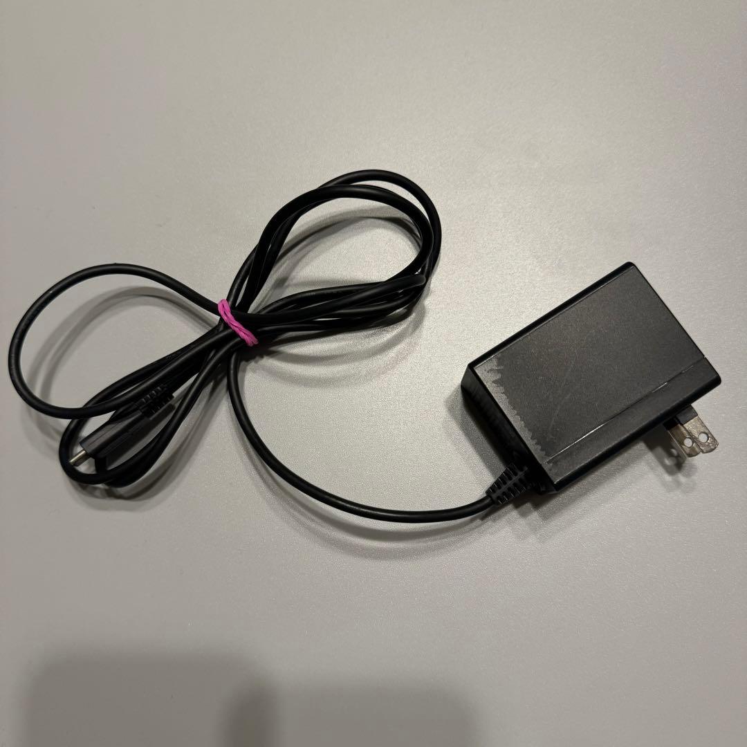 Nintendo Switch Lite グレー 充電器・ケース付き