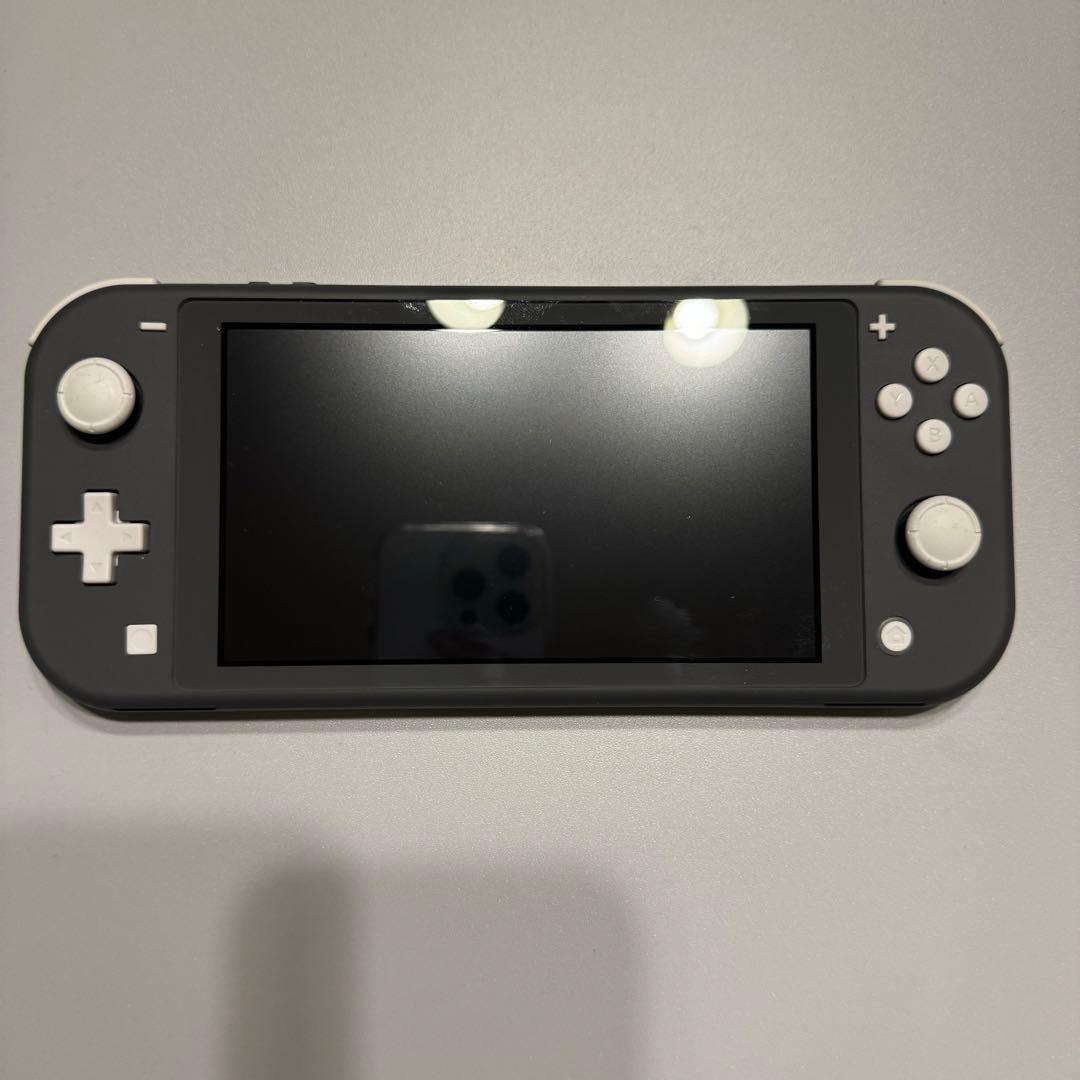 Nintendo Switch Lite グレー 充電器・ケース付き