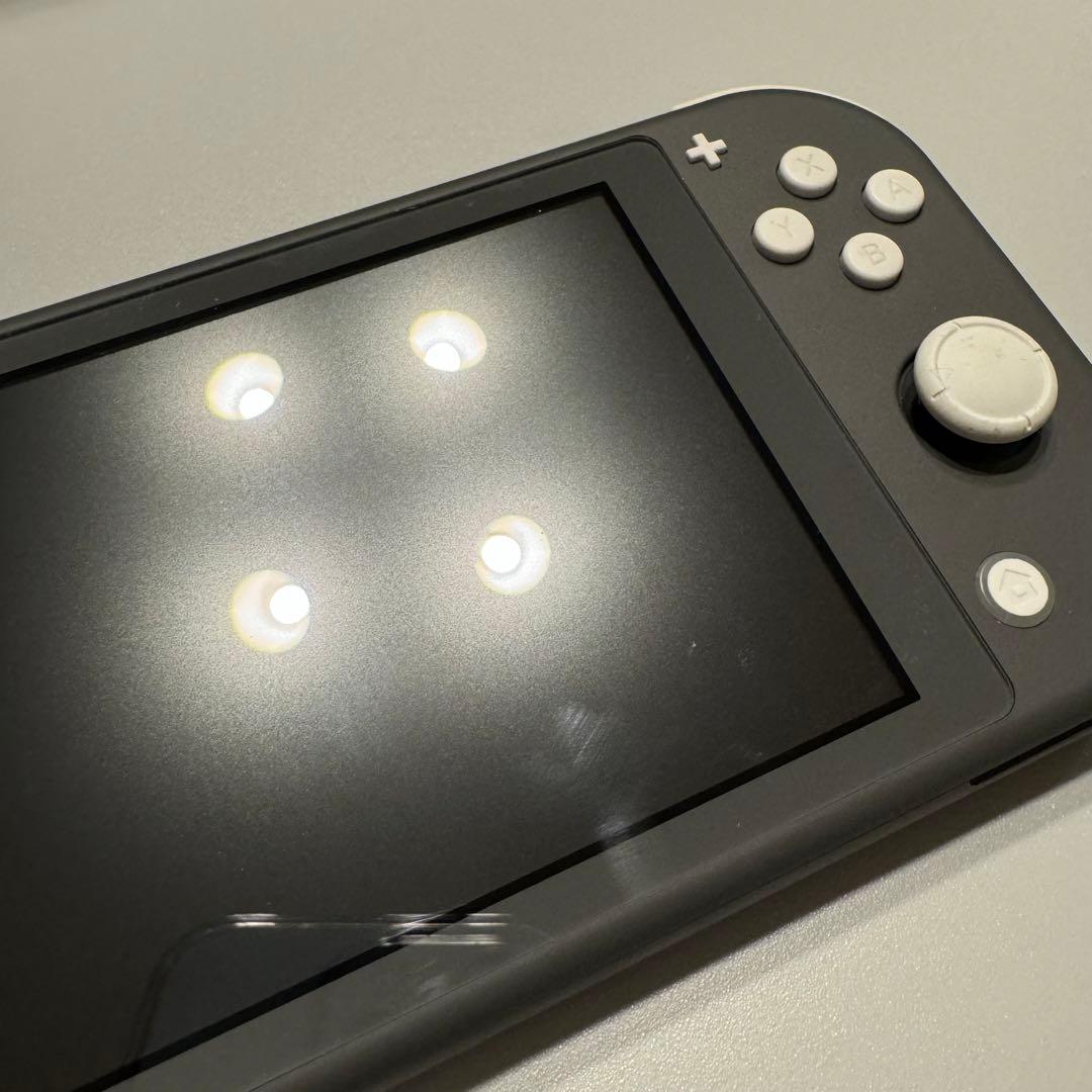 Nintendo Switch Lite グレー 充電器・ケース付き