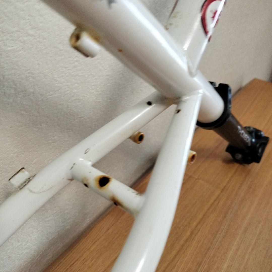 く*ー様 ROCKY MOUNTAIN BLIZZARD MTBフレーム　電蝕ジ