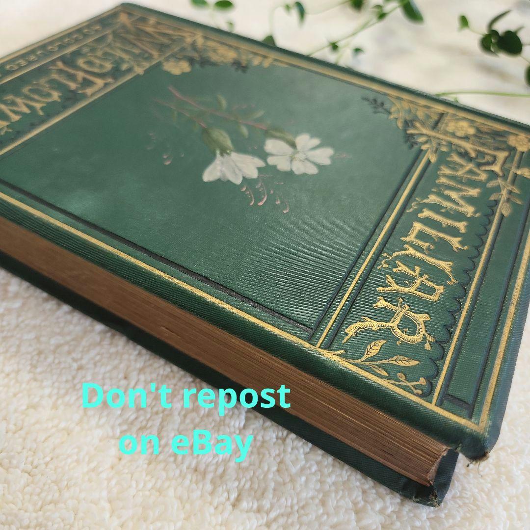 植物図鑑　洋書　ボタニカルアート　アンティーク　リトグラフ　23