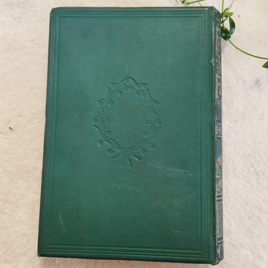 植物図鑑　洋書　ボタニカルアート　アンティーク　リトグラフ　23