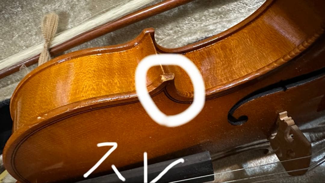 Roderich Paesold【バイオリンセット】 PA801J 1/4