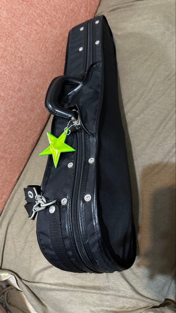 Roderich Paesold【バイオリンセット】 PA801J 1/4