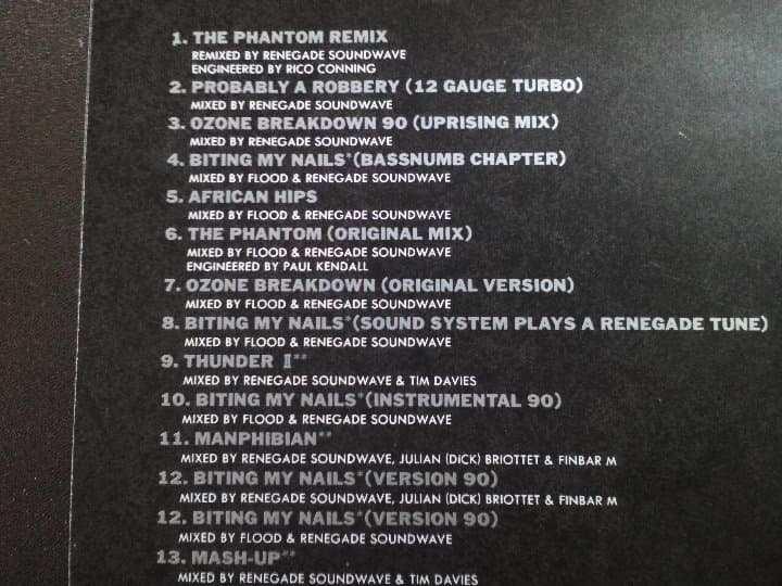 Renegade Soundwave ‎– In Dub