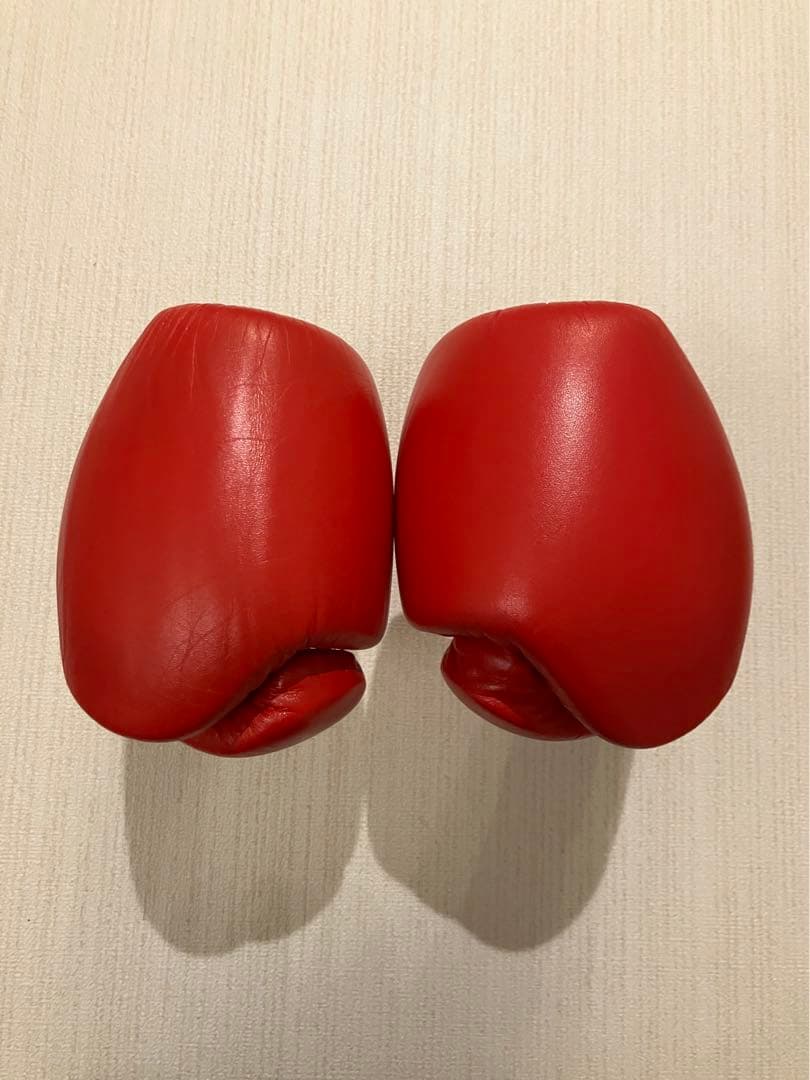 winning ウィニングボクシンググローブ レッド 8オンス MS-200B