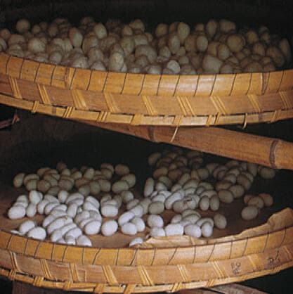 hime様用　真綿ふとん　増量 1kg　 シルク１００％　シングル　3717b