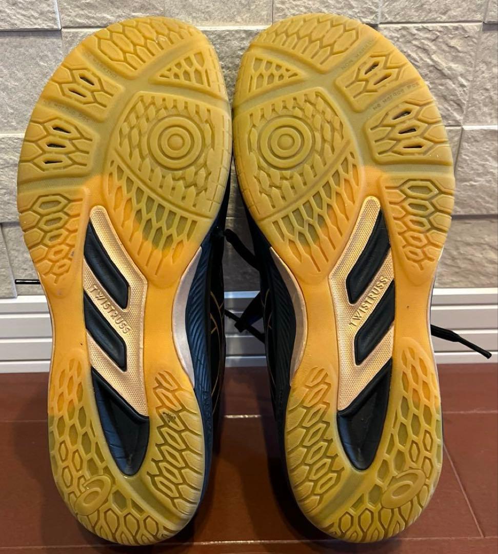 アシックス ローテ ジャパン ライト FF 3 バレーボール シューズ 2E