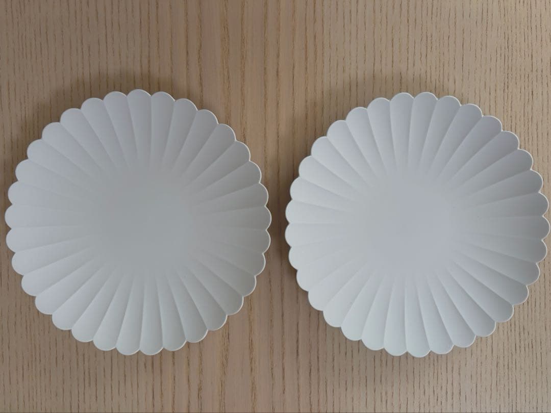 1616/arita japan TYパレス160／220プレートセット