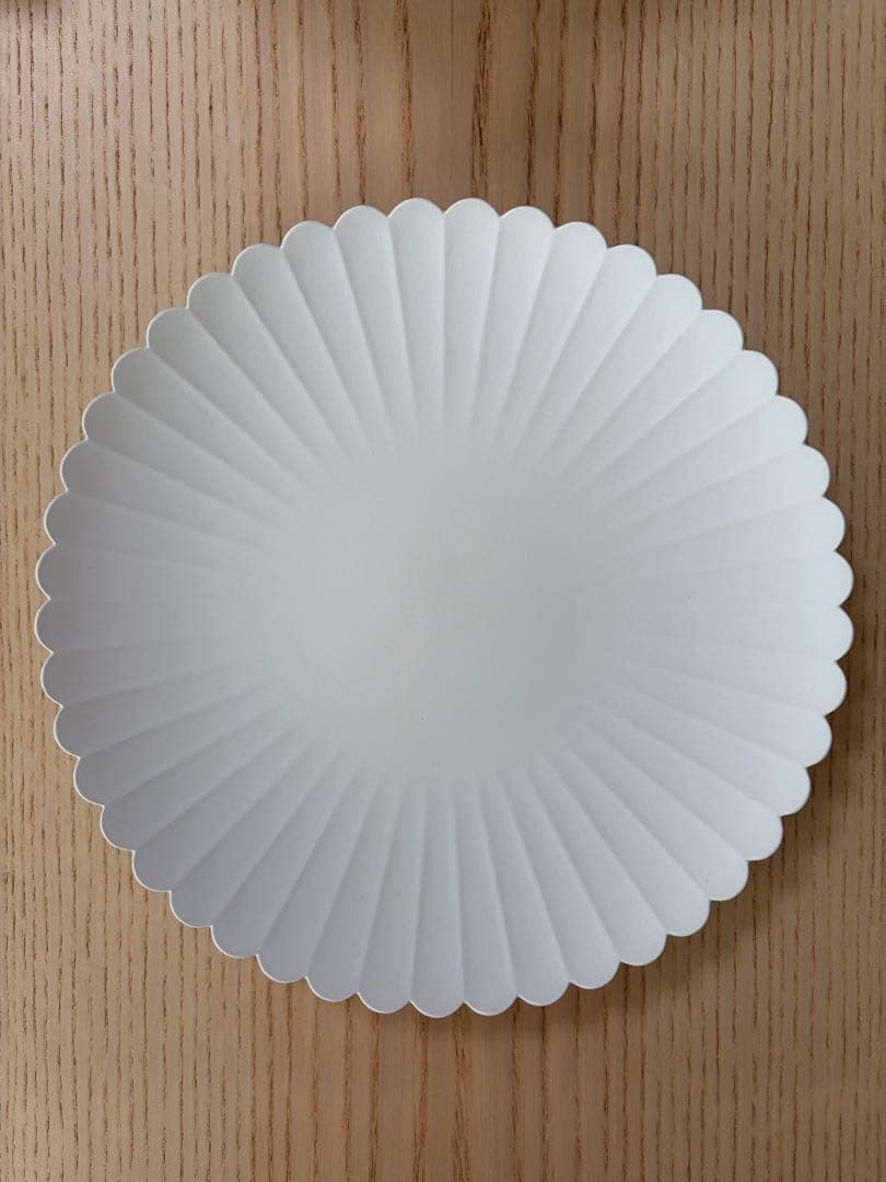 1616/arita japan TYパレス160／220プレートセット