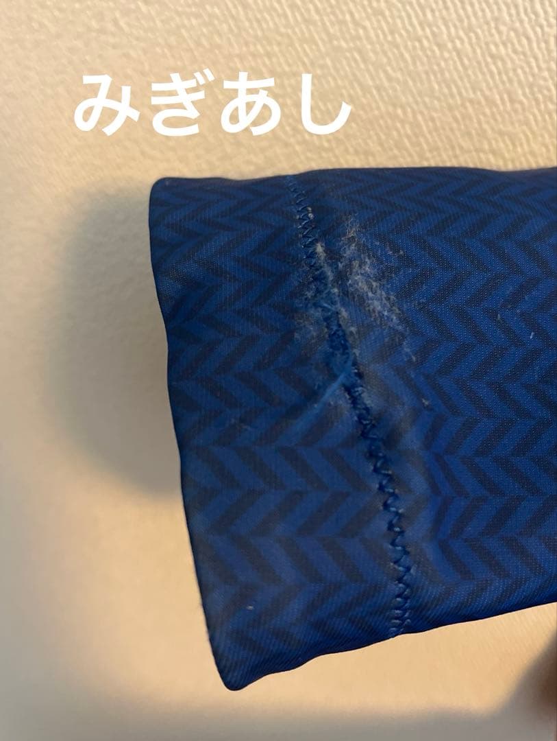 s*ん様 スキー　アルペン　レーシング　ゴールドウィン　ワンピース　goldwi