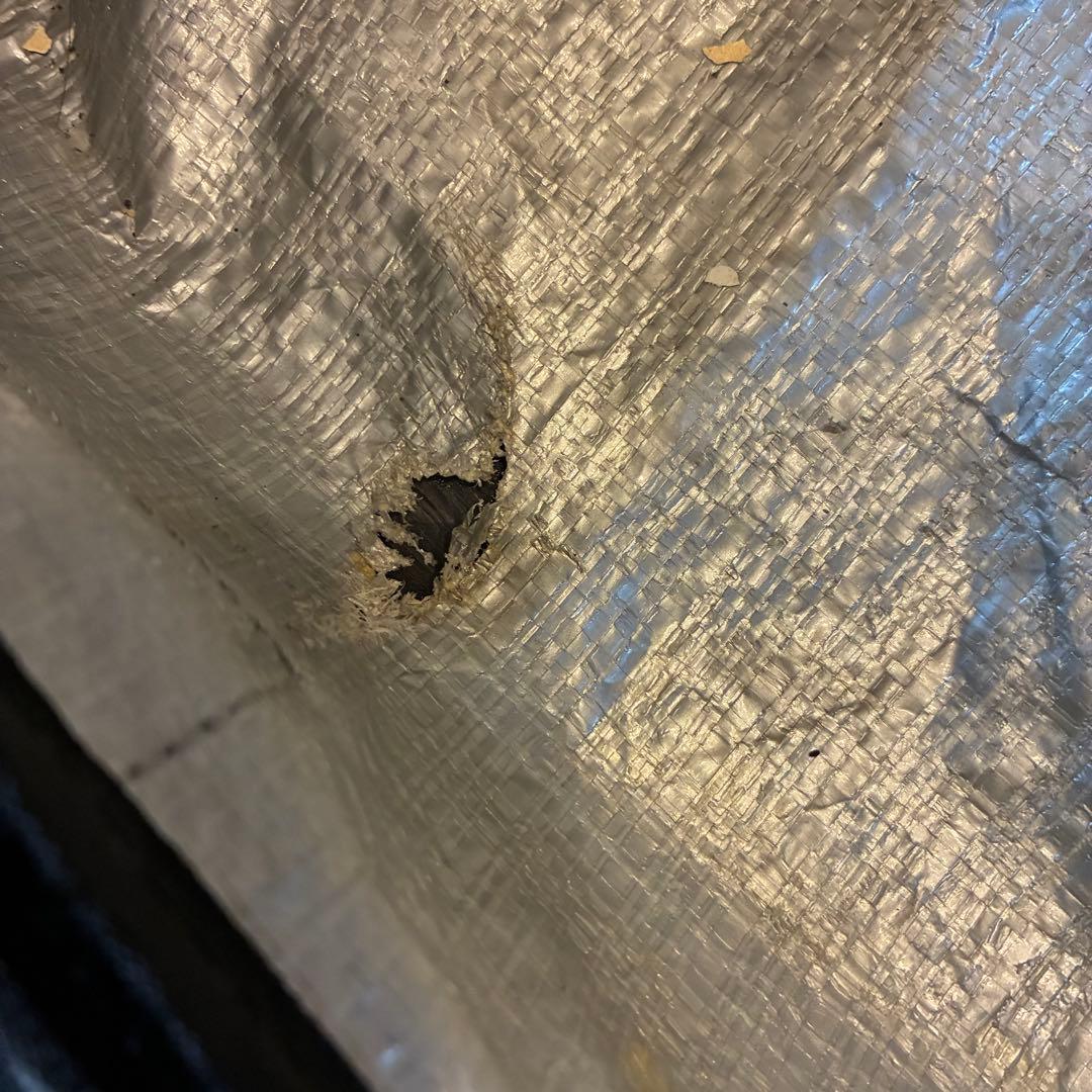 BURTON TWIN 151cm Custom M キャリーバック3点セット！