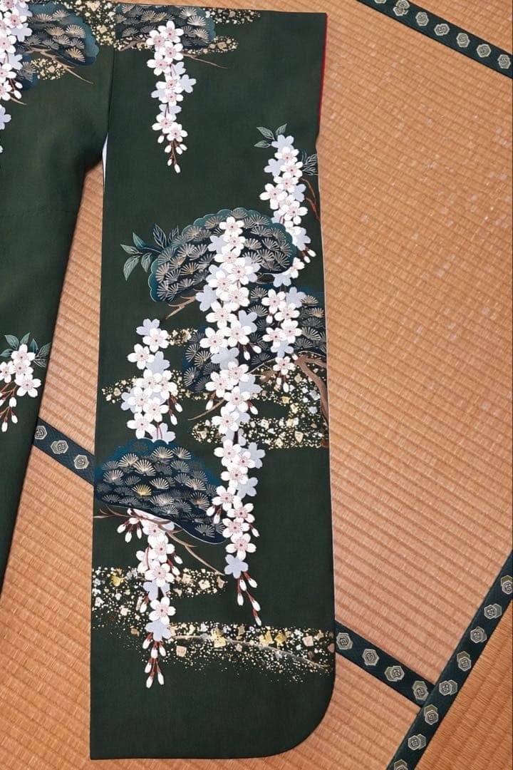 振袖フルセット 緑色 花柄 振袖 赤い帯 ファーあり （靴カバン付き）