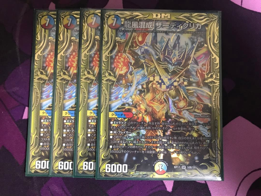 龍風混成ザーディクリカ　b