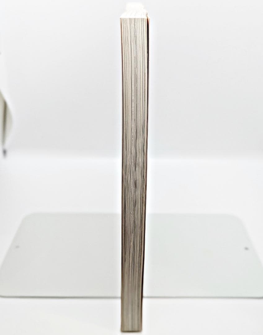 【初版・絶版】 ハルとミナ Haru and Mina 濱田英明 写真集