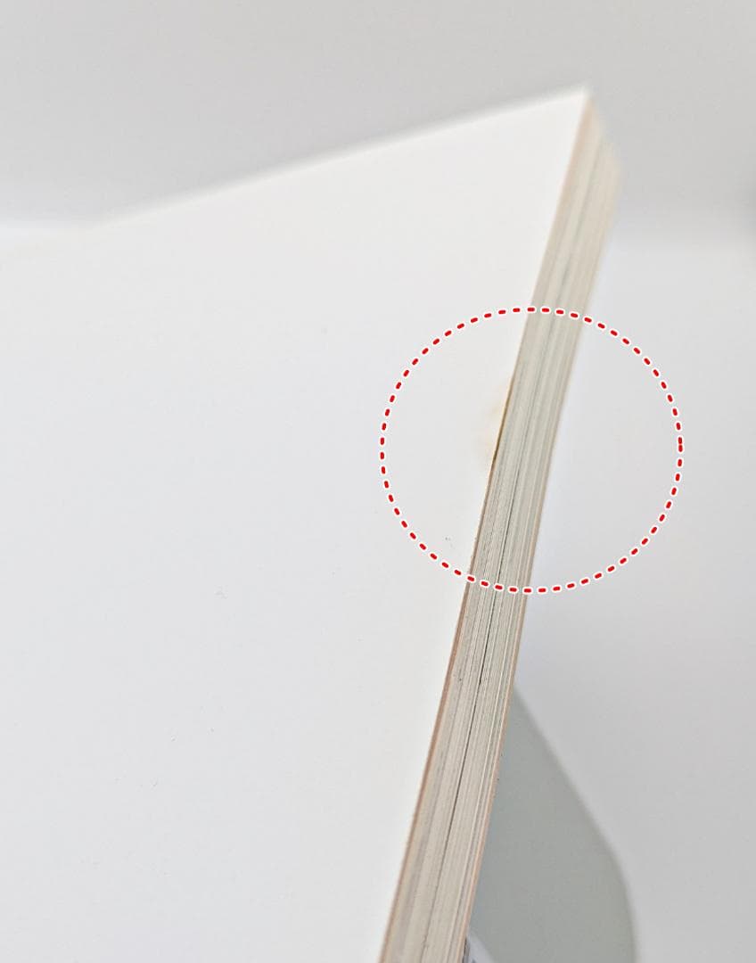 【初版・絶版】 ハルとミナ Haru and Mina 濱田英明 写真集