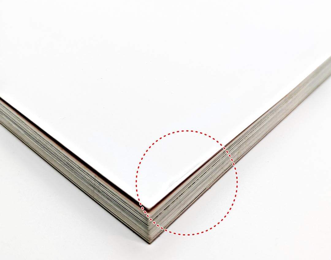 【初版・絶版】 ハルとミナ Haru and Mina 濱田英明 写真集