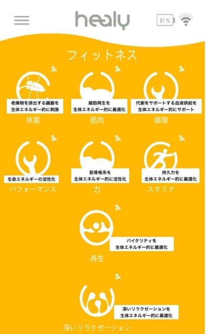 ヒーリー・レゾナス・プラス・エディション　コーチング付き