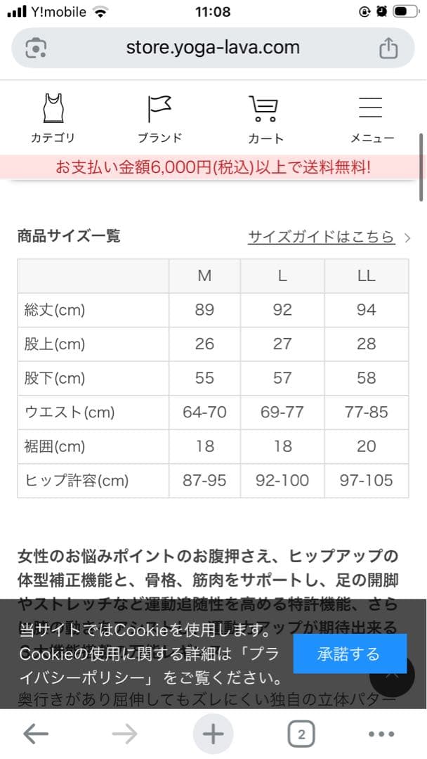 rintosul LAVA パーフェクトフォームレギンス L 黒