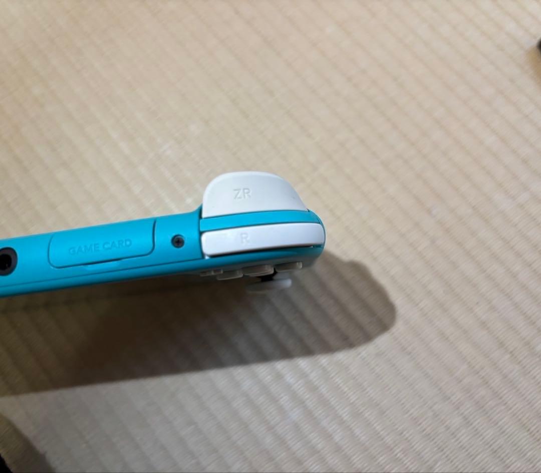 Nintendo Switch Lite 本体　カセット1枚 バイオレットのみ