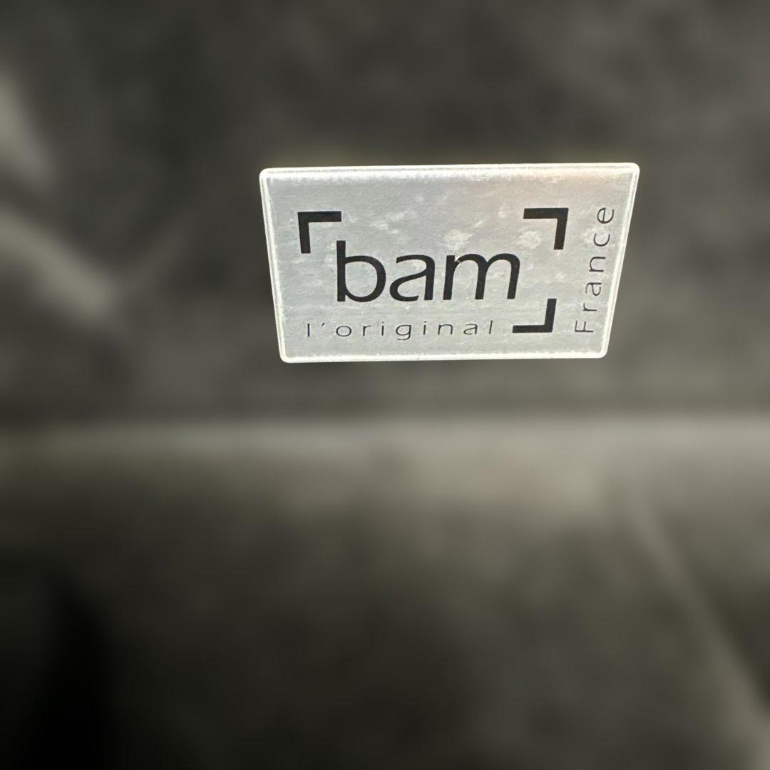 専用　BAM バム テナーサクソフォン用トレッキングケース　3022S